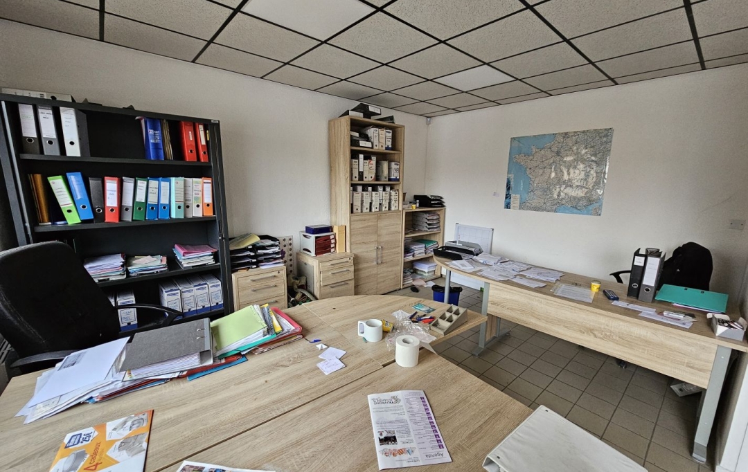 Annonces TLYON : Autres | PUSIGNAN (69330) | 500 m2 | 3 100 € 